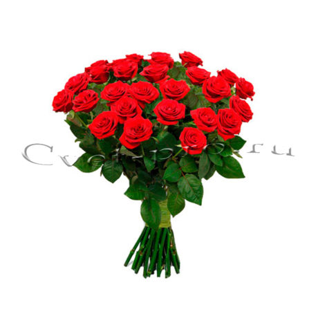 Розы российские, купить цветы Тольятти, доставка цветов в Тольятти, Cvet-pro
