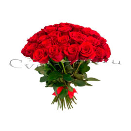 Эквадорские розы, купить цветы Тольятти, доставка цветов в Тольятти, Cvet-pro