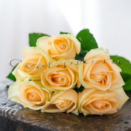 Букет кремовых роз, купить цветы в Тольятти, доставка цветов в Тольятти, букет кремовых роз, Cvet-pro