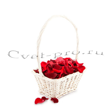 Лепестки роз, купить цветы Тольятти, доставка цветов в Тольятти, Cvet-pro