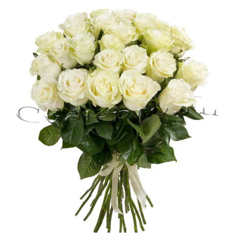 25 белых роз, купить цветы Тольятти, доставка цветов в Тольятти, букет белых роз, Cvet-pro