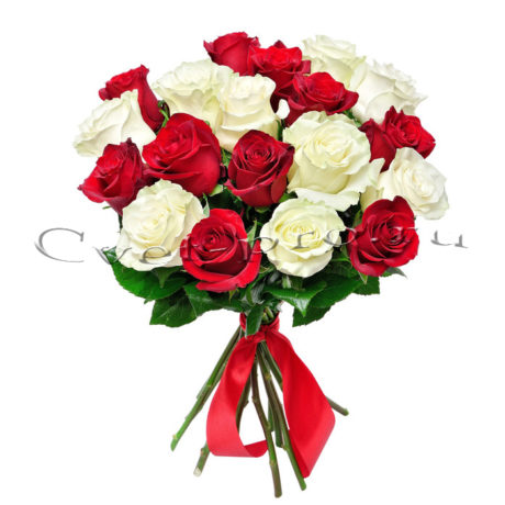 Букет красных и белых роз, купить цветы Тольятти, доставка цветов в Тольятти, белая и красная роза, Cvet-pro