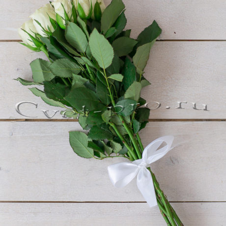 Букет белых роз, купить цветы Тольятти, доставка цветов Тольятти, белая роза, Cvet-pro