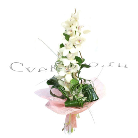 Орхидеи, купить цветы Тольятти, доставка цветов в Тольятти, Cvet-pro