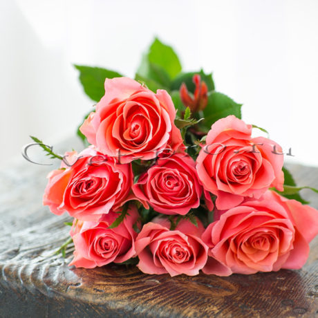 Букет розовых роз, купить цветы Тольятти, доставка цветов в Тольятти, букет из розовых роз, Cvet-pro