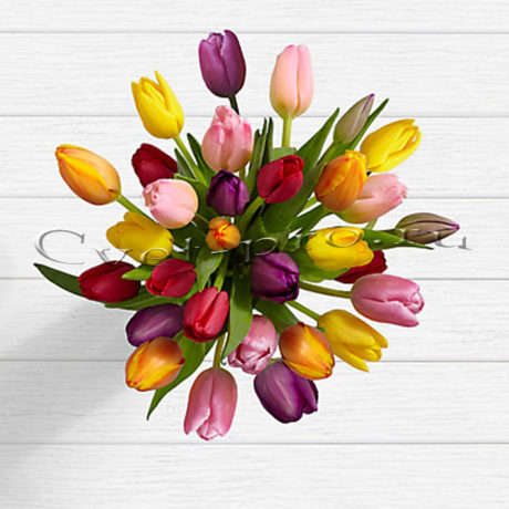 Букет 33 разноцветный тюльпанов • Купить цветы Тольятти