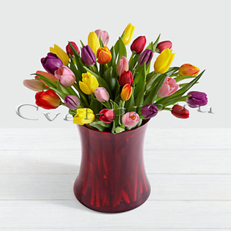 Букет 33 разноцветный тюльпанов • Купить цветы Тольятти