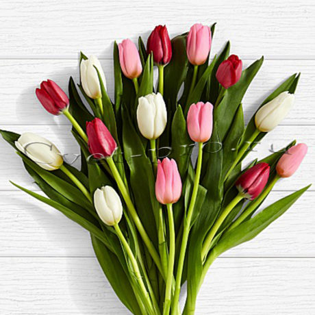 Букет 15 разноцветных тюльпанов, купить цветы Тольятти