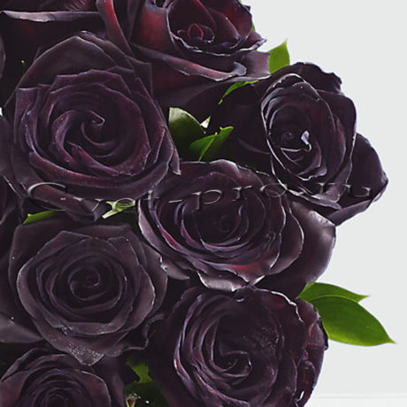 доставка цветов в тольятти | доставка цветов тольятти | цветы тольятти | розы тольятти | 8 марта | 8 марта тольятти | купить цветы | букет цветов | букет тольятти | бесплатно | доставка бесплатно | цветы | cvet-pro | черная роза