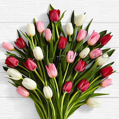 Букет 31 разноцветный тюльпан • Купить цветы Тольятти