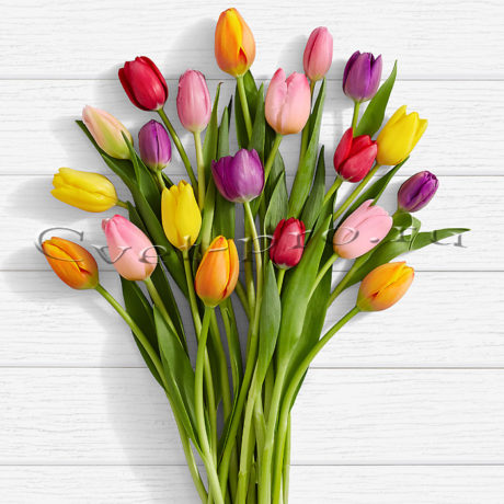 Букет 19 разноцветных тюльпанов • Купить цветы Тольятти