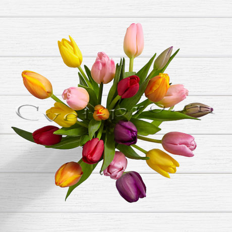 Букет 19 разноцветных тюльпанов • Купить цветы Тольятти