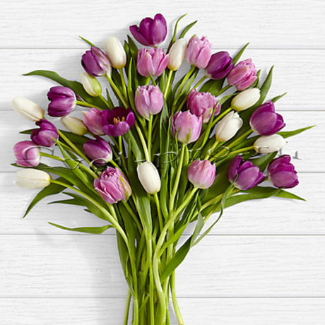Букет 29 белых, розовых и фиолетовых тюльпанов, купить цветы Тольятти