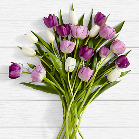 Букет 19 белых, розовых и фиолетовых тюльпанов, купить цветы Тольятти